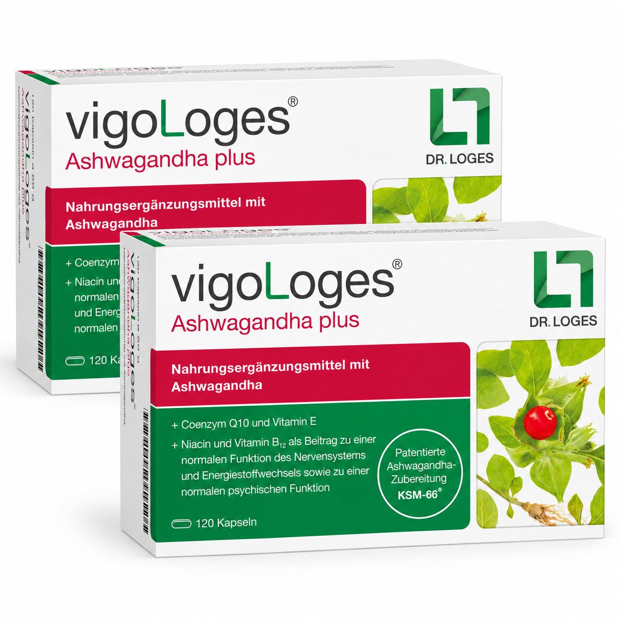 DocMed vigoLoges® Ashwagandha plus 2 x 120 Kapseln, 240 er Mehrfachpack à 600 g, Vegetarisch, glutenfrei