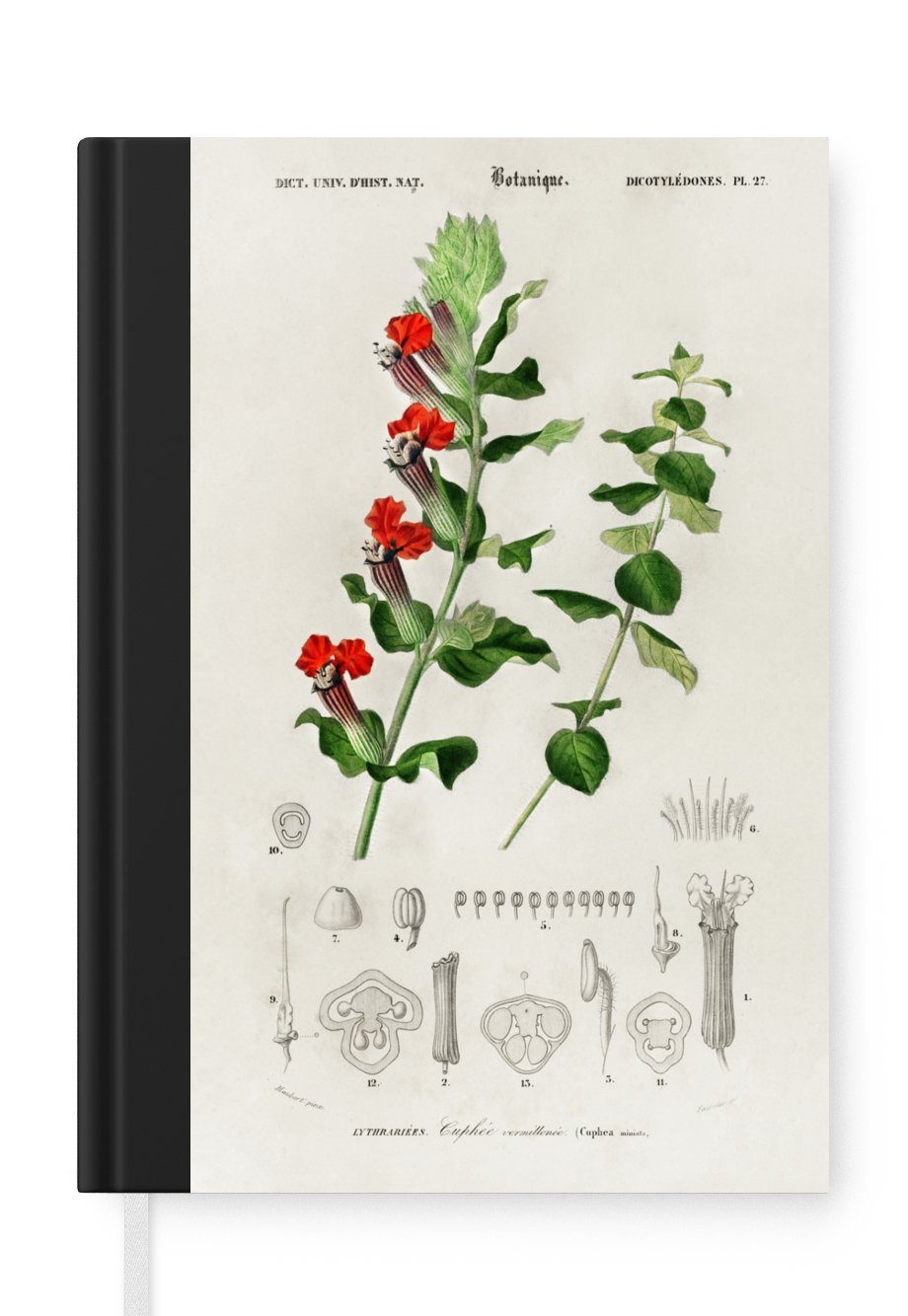 Notizbuch Journal, A5, Jahrgang Notizheft, Pflanze Merkzettel, 98 Seiten, - Botanica, Tagebuch, Haushaltsbuch MuchoWow -