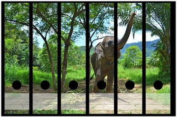 Wallario Etiketten Junger Elefant im Dschungel, Ordnerrücken-Sticker in verschiedenen Ausführungen