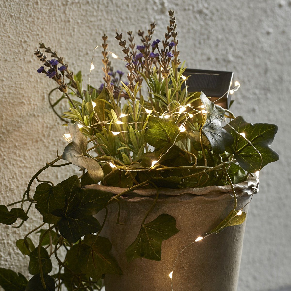 STAR TRADING LED-Lichterkette LED Solar Lichterkette Tautropfen Dew Drop 50 günstig online kaufen