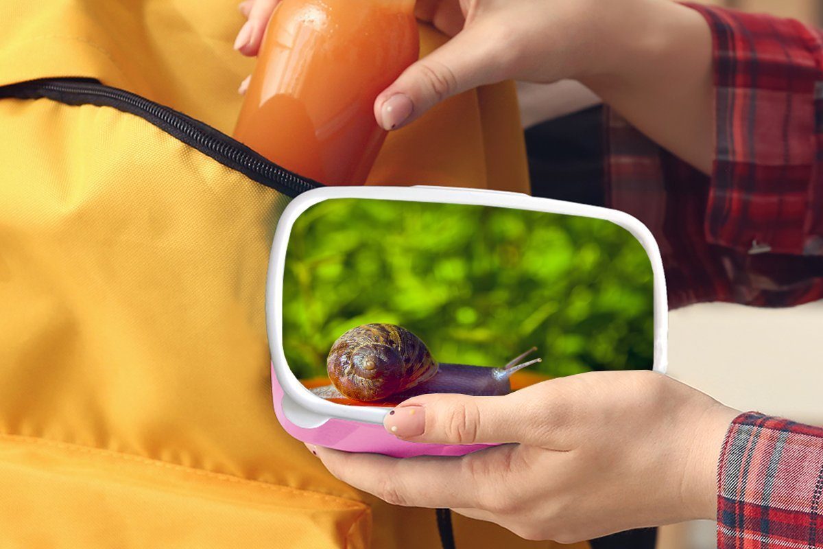 Kunststoff Schnecke Brotdose Hintergrund, für Snackbox, Kinder, MuchoWow (2-tlg), Brotbox rosa Erwachsene, Lunchbox auf Mädchen, rotem Kunststoff,