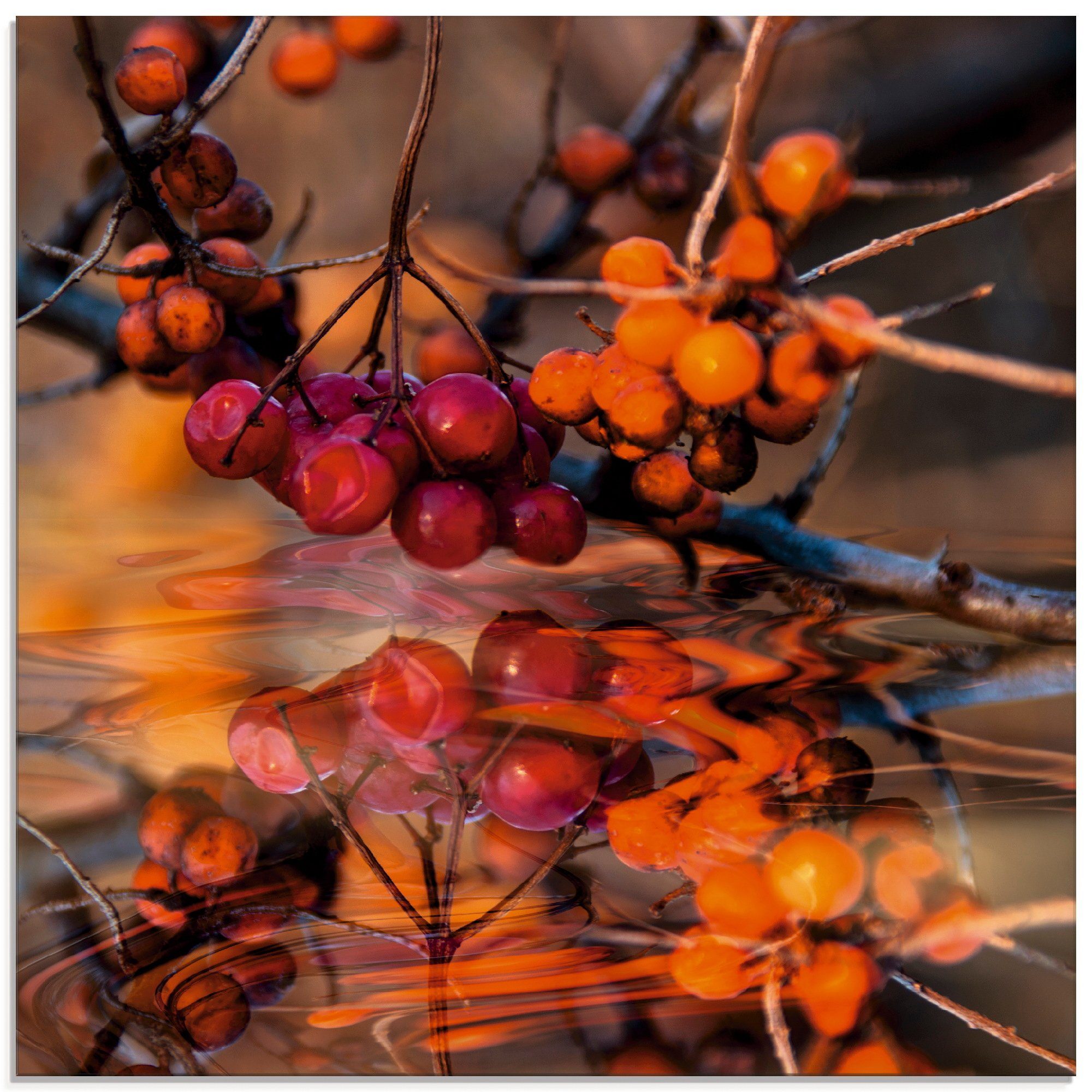 Artland Glasbild Rote Beeren Pflanzen Wildbeeren, Größen verschiedenen (1 - St), in