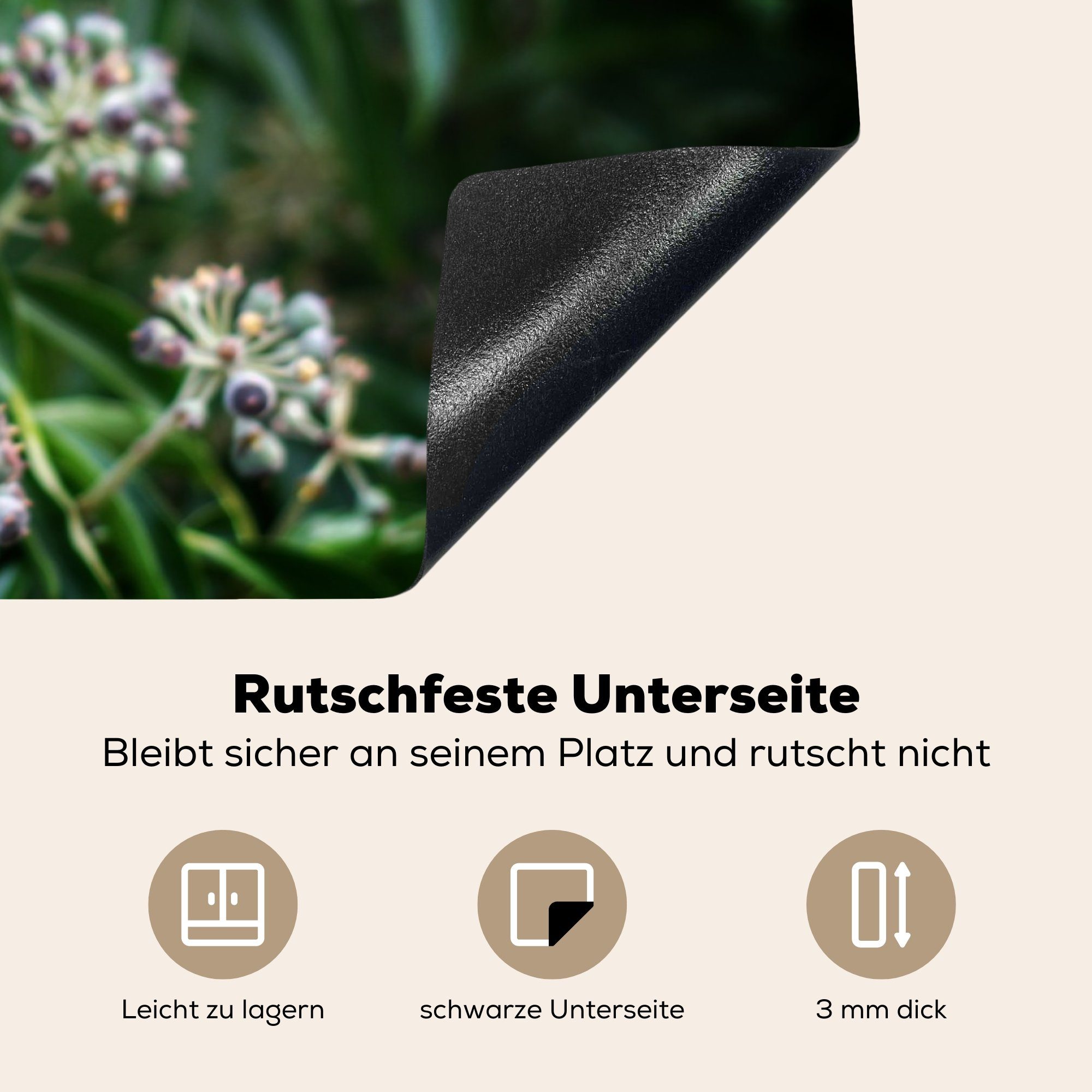 MuchoWow Herdblende-/Abdeckplatte Blumen - - 81x52 Schutz für Induktionskochfeld (1 küche, Ceranfeldabdeckung cm, Vogel Vinyl, tlg), Rotkehlchen, die