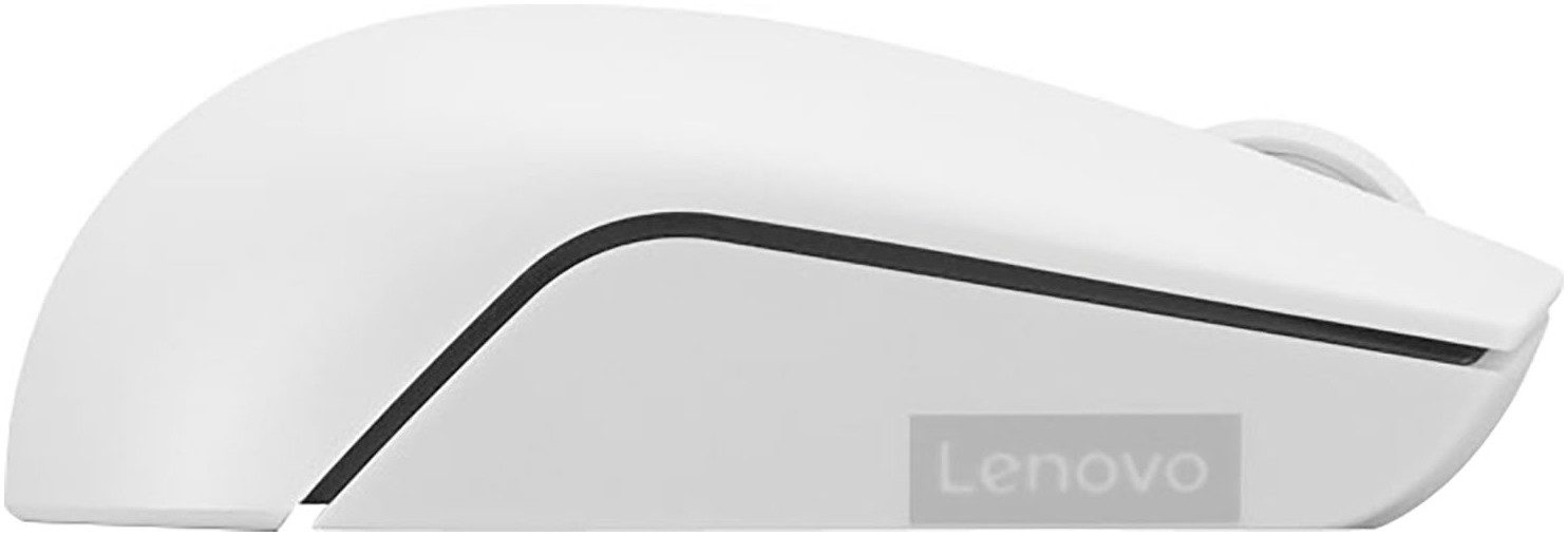 Lenovo 300 Wireless Maus (RF Wireless)