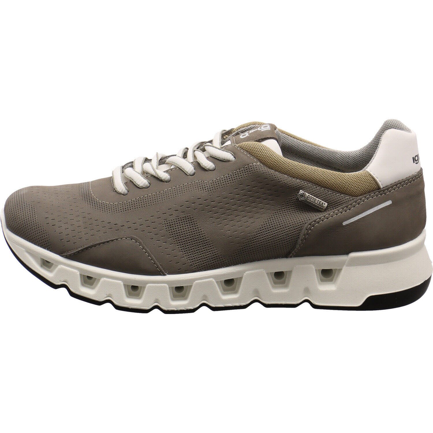 IGI & CO Gore-Tex Surround Sneaker günstig online kaufen