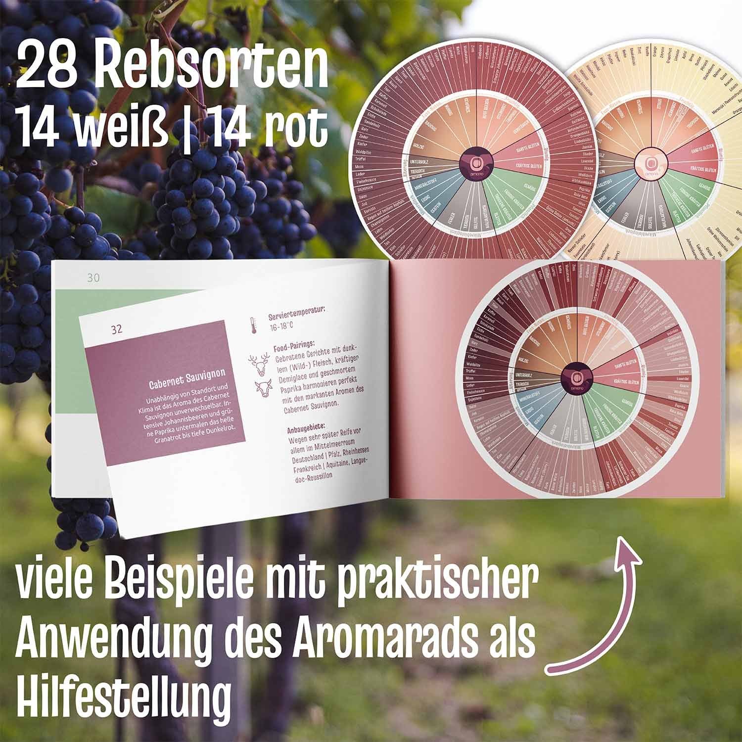 Dimono Aromabox Original Dimono Aromabox & Wein-Aromarad Deluxe – Weinaromen erkennen (Weinführer Guide für Weintrinker; Jedes Aroma genau erkennen)