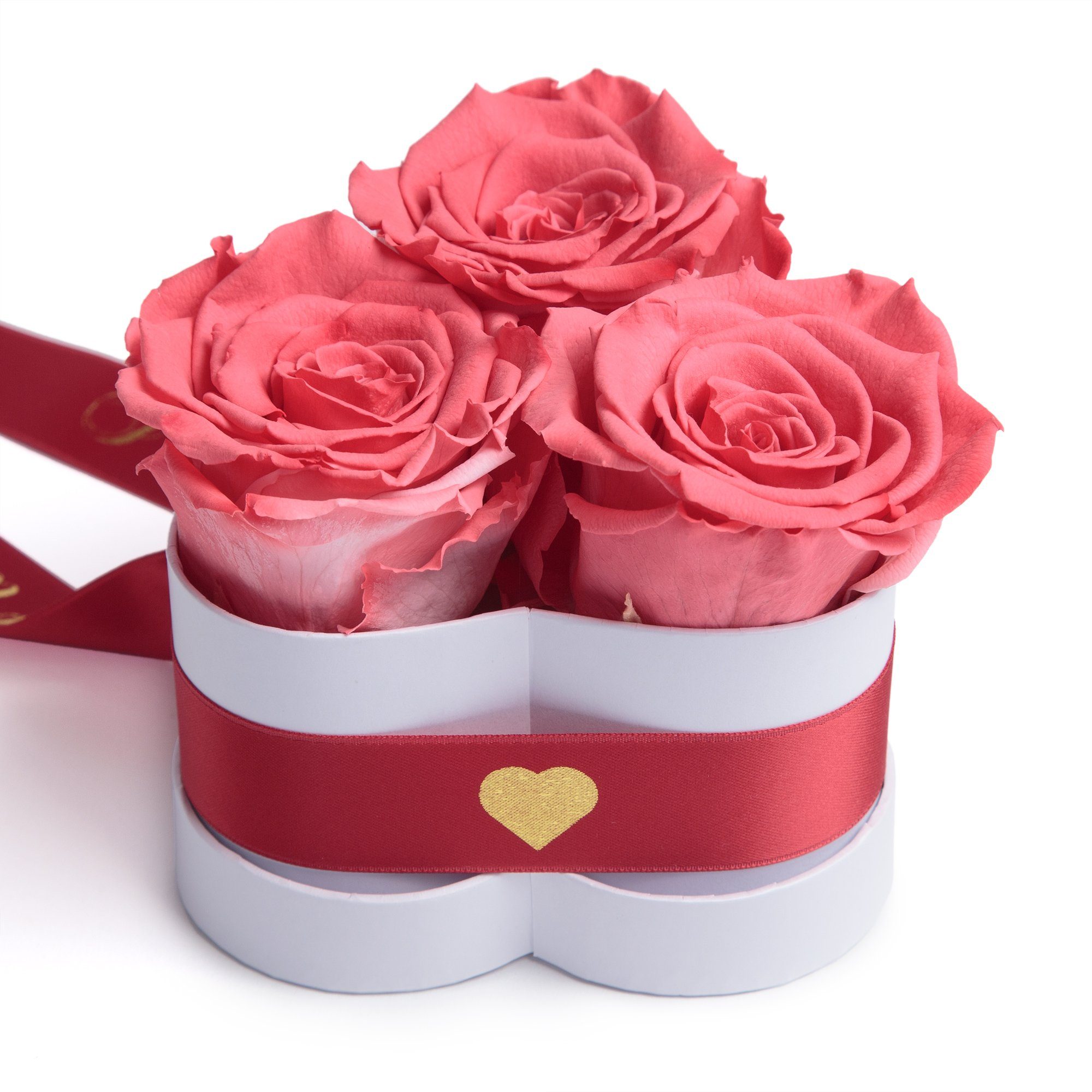 für Kunstblume Infinity konservierte ROSEMARIE Herz Sie Box Rosen 8.5 SCHULZ Korall-Rot Rose, Love Geschenk in I Rosenbox Valentinstag Höhe Heidelberg, 3 cm, You