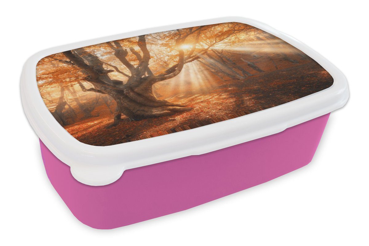 MuchoWow Lunchbox Baum - Natur - Herbst, Kunststoff, (2-tlg), Brotbox für Erwachsene, Brotdose Kinder, Snackbox, Mädchen, Kunststoff rosa