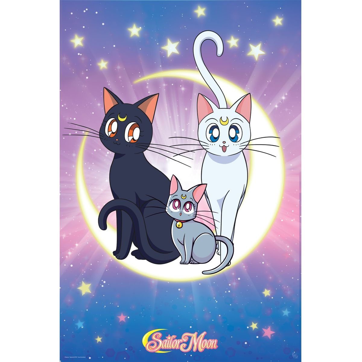 Sailor Moon Poster
