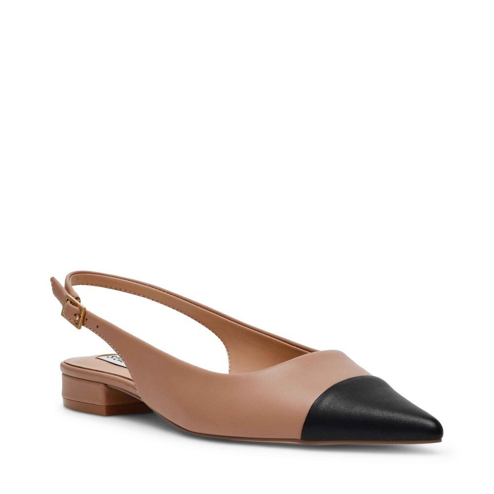 STEVE MADDEN Steve Madden - Pump - Braun Pumps