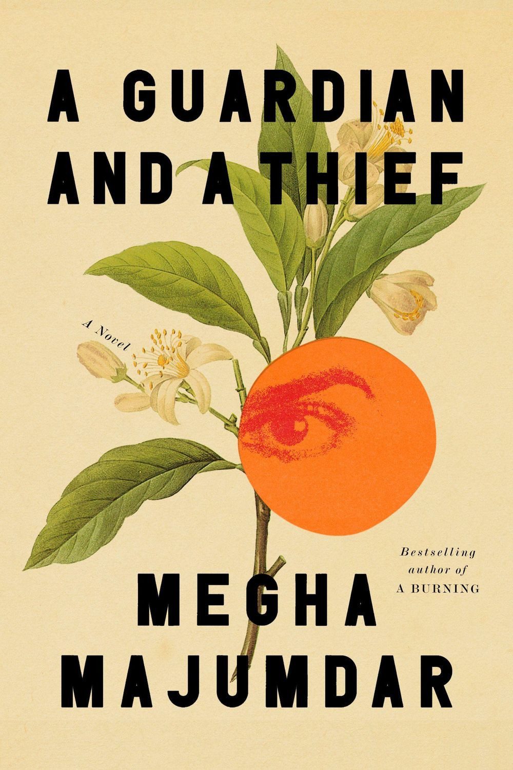 A Guardian and a Thief / Megha Majumdar