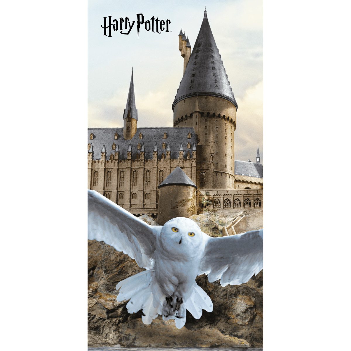 Harry Potter Strandtuch Strandtuch Badetuch 70×140 cm Baumwolle günstig online kaufen