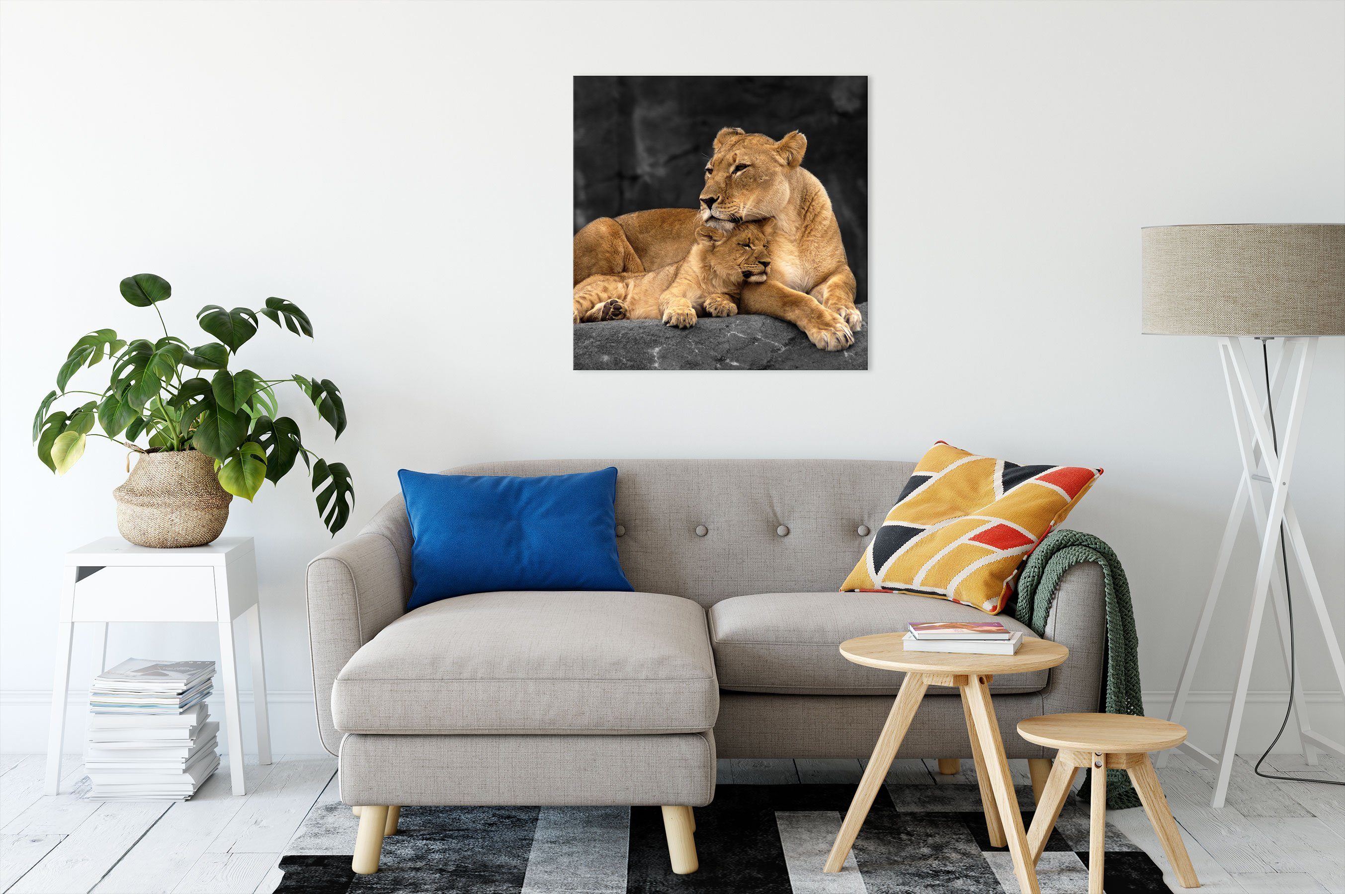 Pixxprint inkl. Löwenjungen, Zackenaufhänger Löwenjungen (1 bespannt, St), fertig Leinwandbild Löwe Löwe Leinwandbild