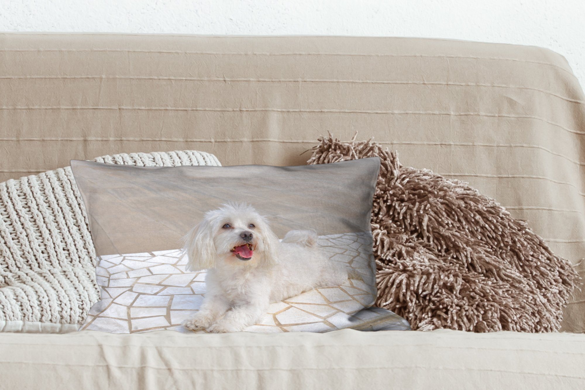 Füllung, Zierkissen, mit Wohzimmer Weg, liegt auf Dekoration, einem Hund Ein Dekokissen Dekokissen Malteser Schlafzimmer MuchoWow