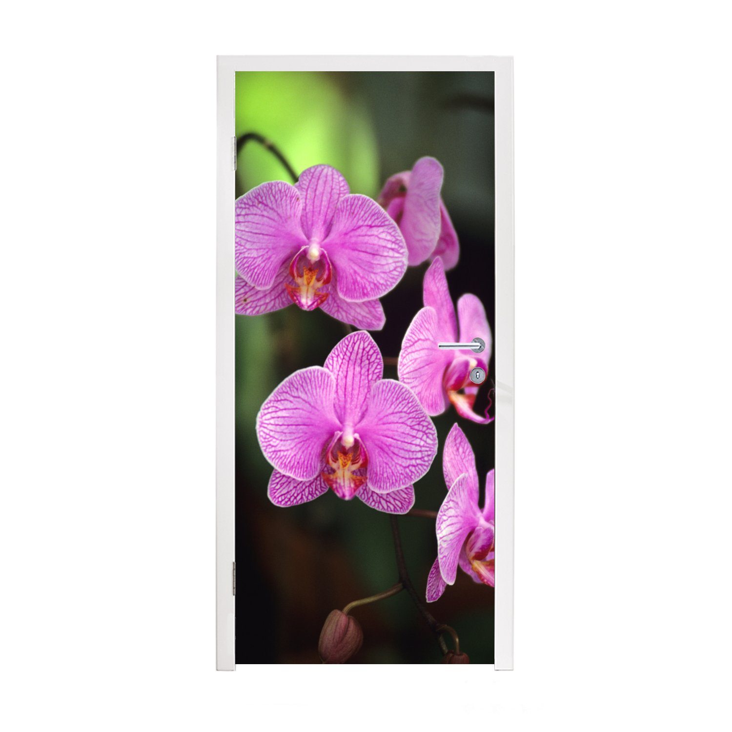 MuchoWow St), Tür, (1 cm Türtapete Orchidee, Türaufkleber, bedruckt, Matt, 75x205 für Fototapete Rosa