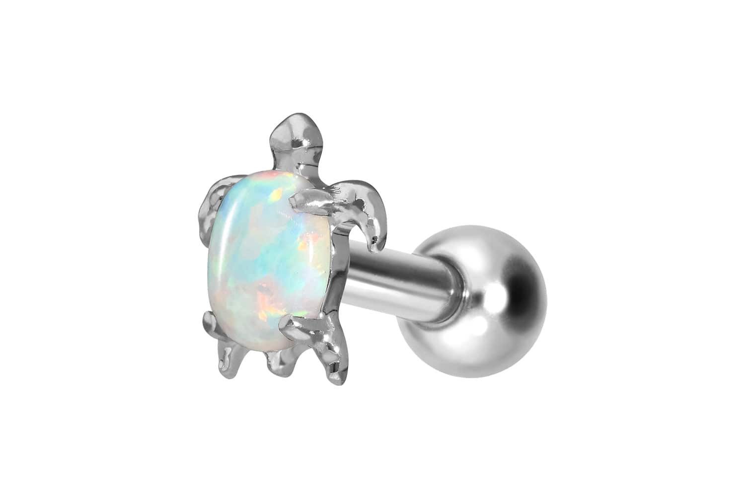 Piercing-Set Titan Ohrpiercing mit Innengewinde SCHILDKRÖTE
