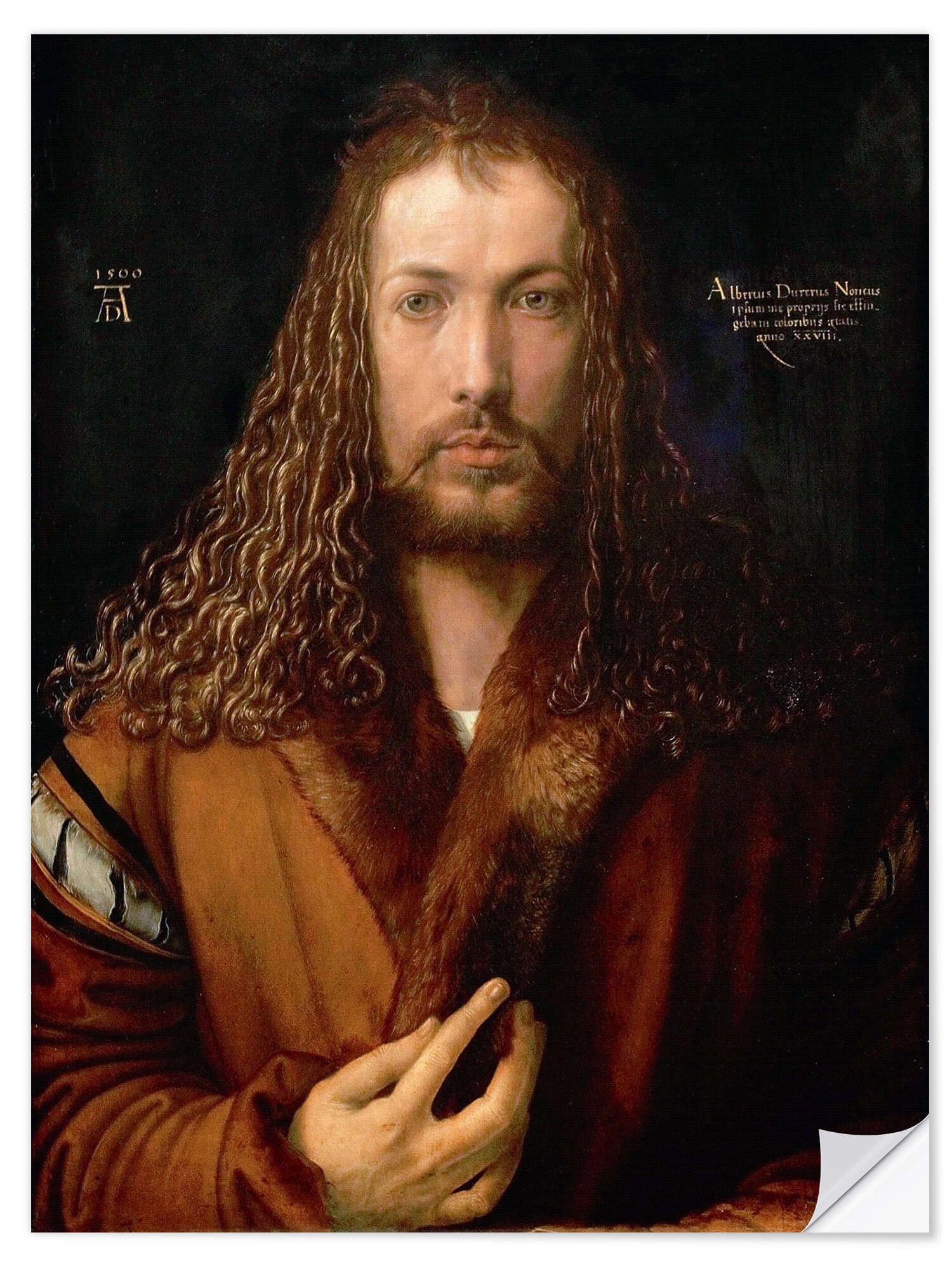 Wandfolie Albrecht Dürer
