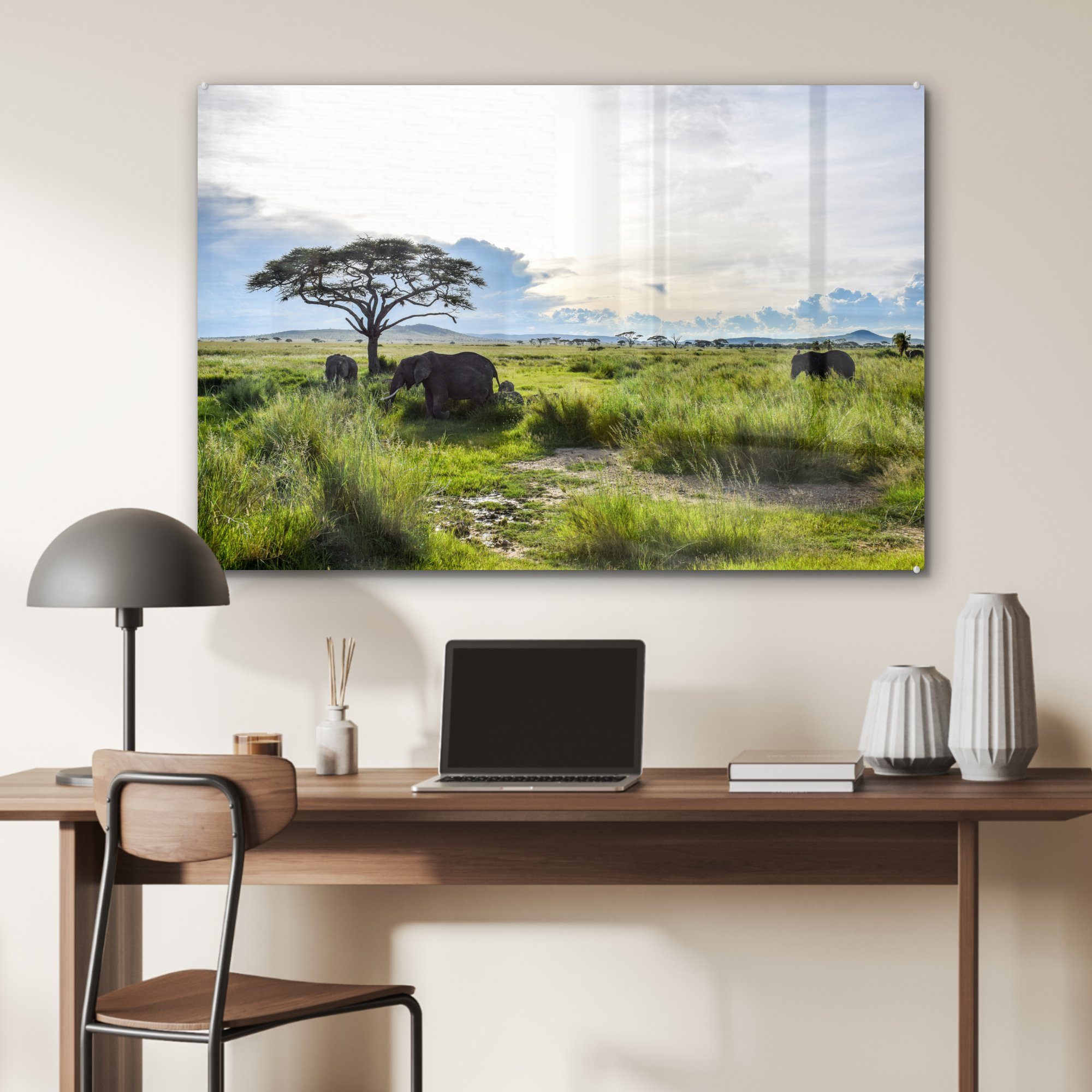 Tiere St), Schlafzimmer in, Acrylglasbilder grünes (1 Serengeti-Nationalpark und & Hohes im Acrylglasbild MuchoWow Wohnzimmer Gras wilde
