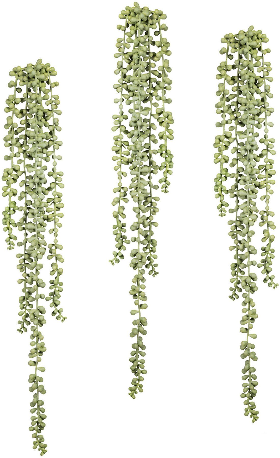 Kunstranke Sedumhänger Sukkulente, Creativ green, Höhe 70 cm, 3er Set | Kunstranken
