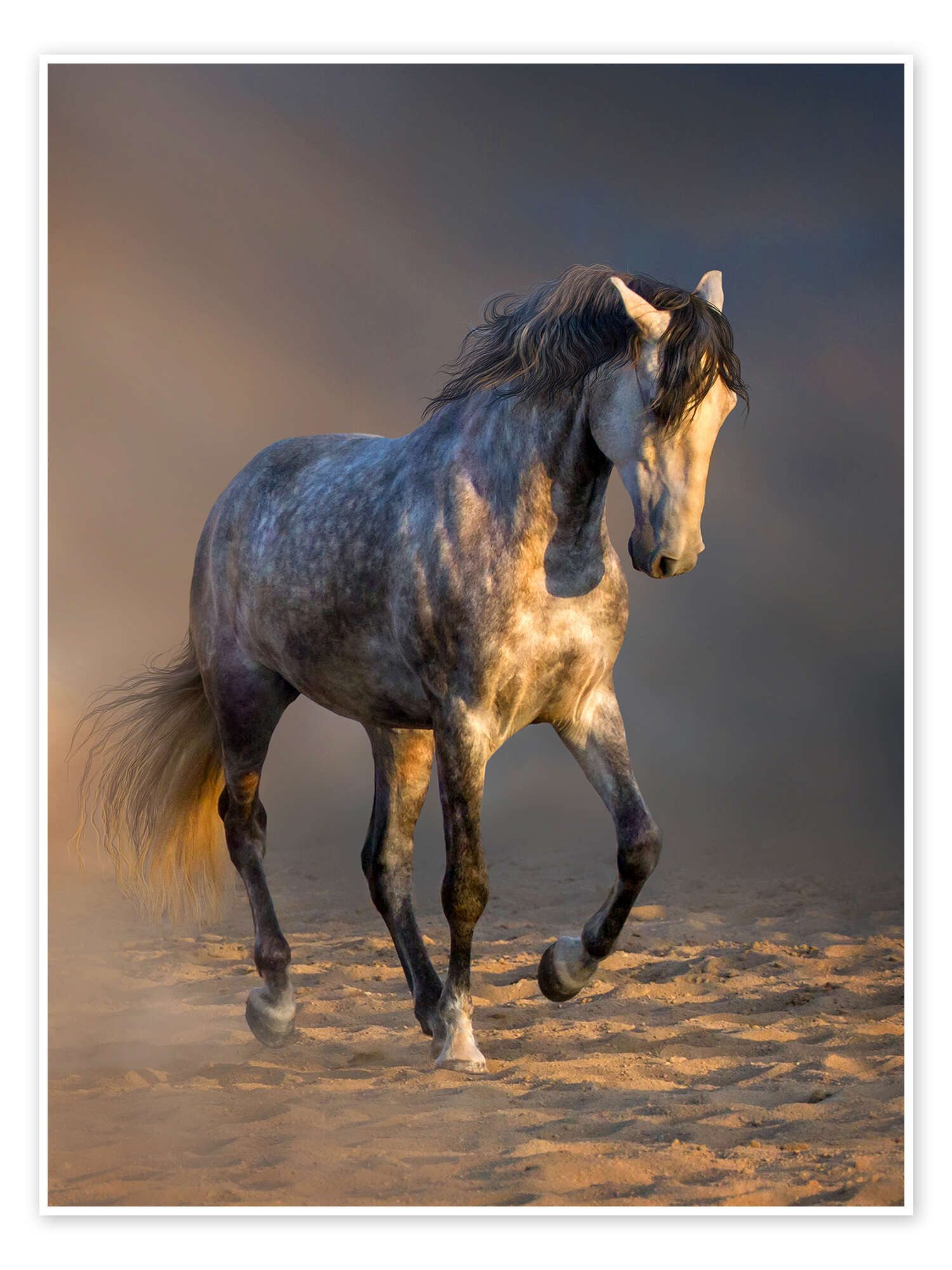 Poster Editors Choice