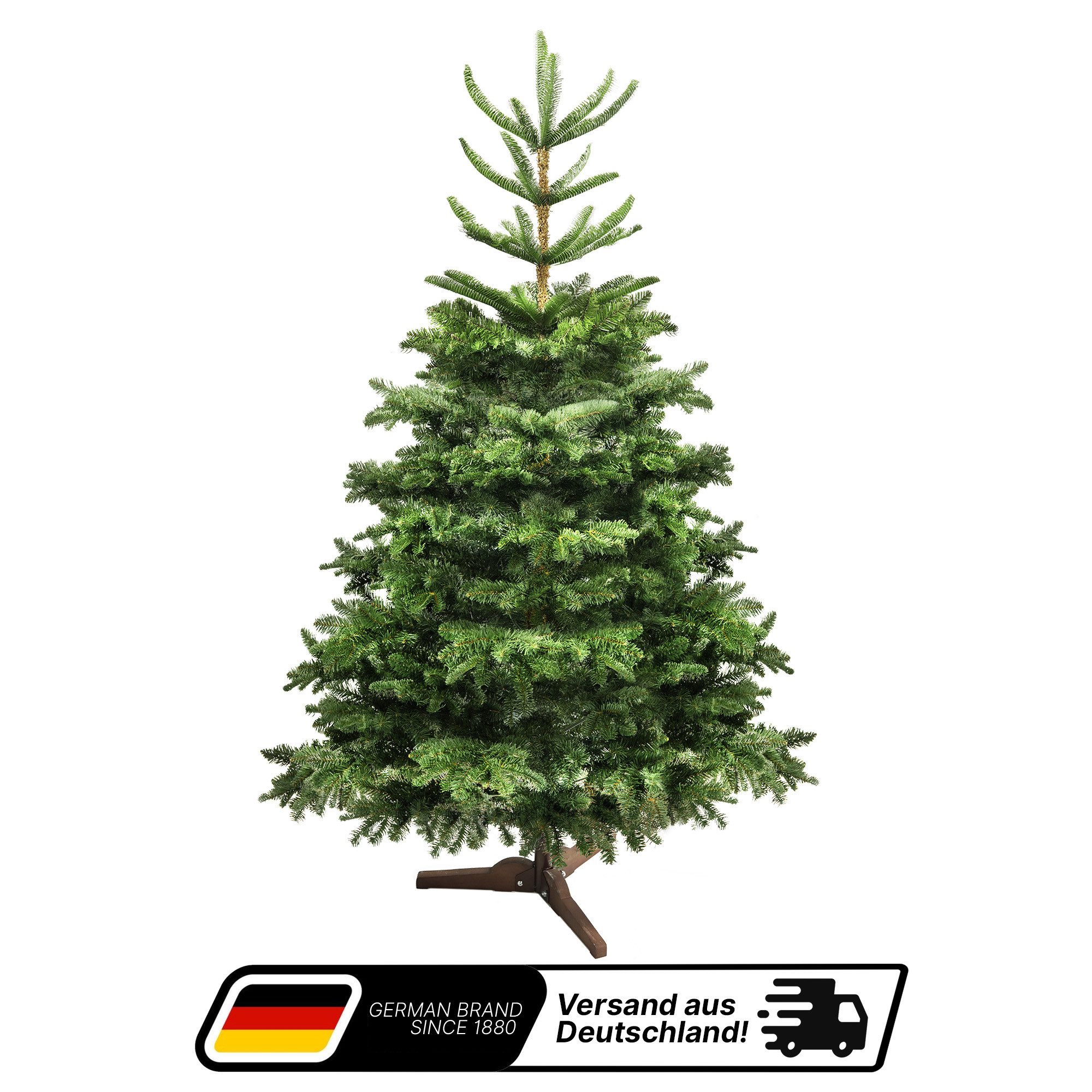 Aurelia Home Echter Weihnachtsbaum Künstlicher Weihnachtsbaum PE/PVC, geschichtete Krone, 150 cm, Nordmanntanne, Wiederverwendbar, vielseitig, pflegeleicht, umweltfreundlich