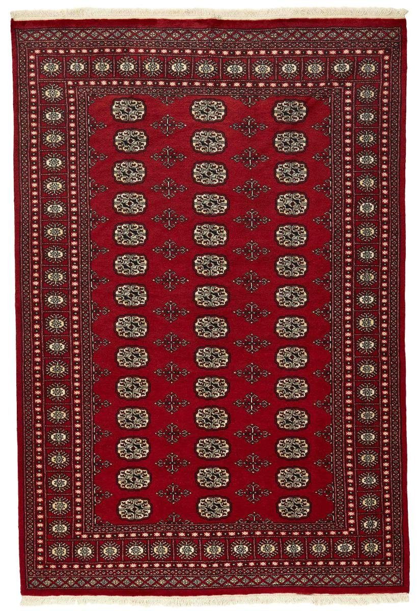 Orientteppich Pakistan Buchara 2ply 167x249 Handgeknüpfter Orientteppich, Nain Trading, rechteckig, Höhe: 8 mm