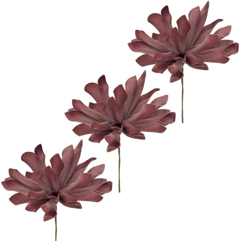 Kunstblume Kunstblumen Sukkulente lila Pflanzen Deko Ø 11x8 cm 3er Set Sukkulente, matches21 HOME & HOBBY, Höhe 8 cm
