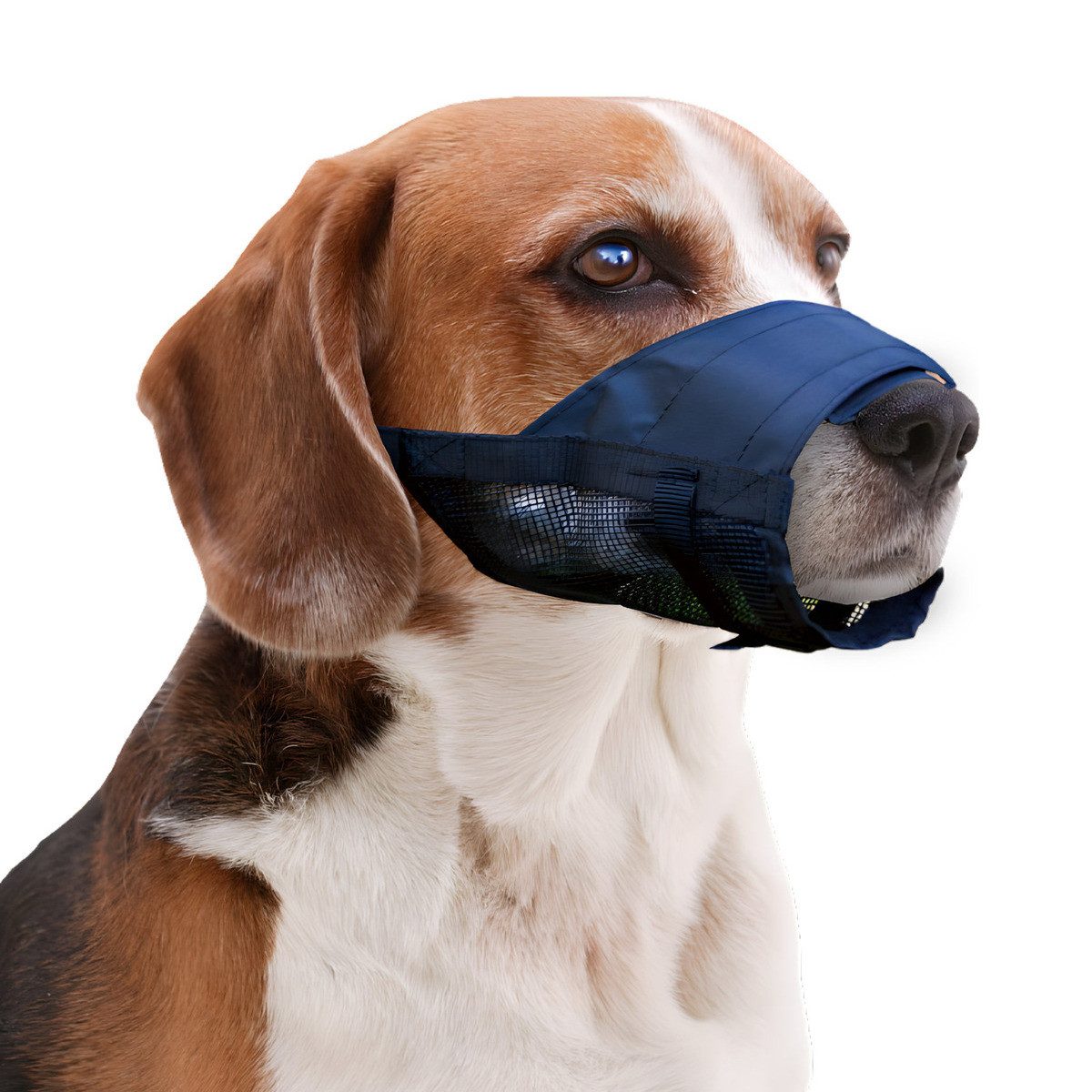 Holland Animal Care Maulkorb Verstellbarer Nylon Maulkorb von Holland Animal Care