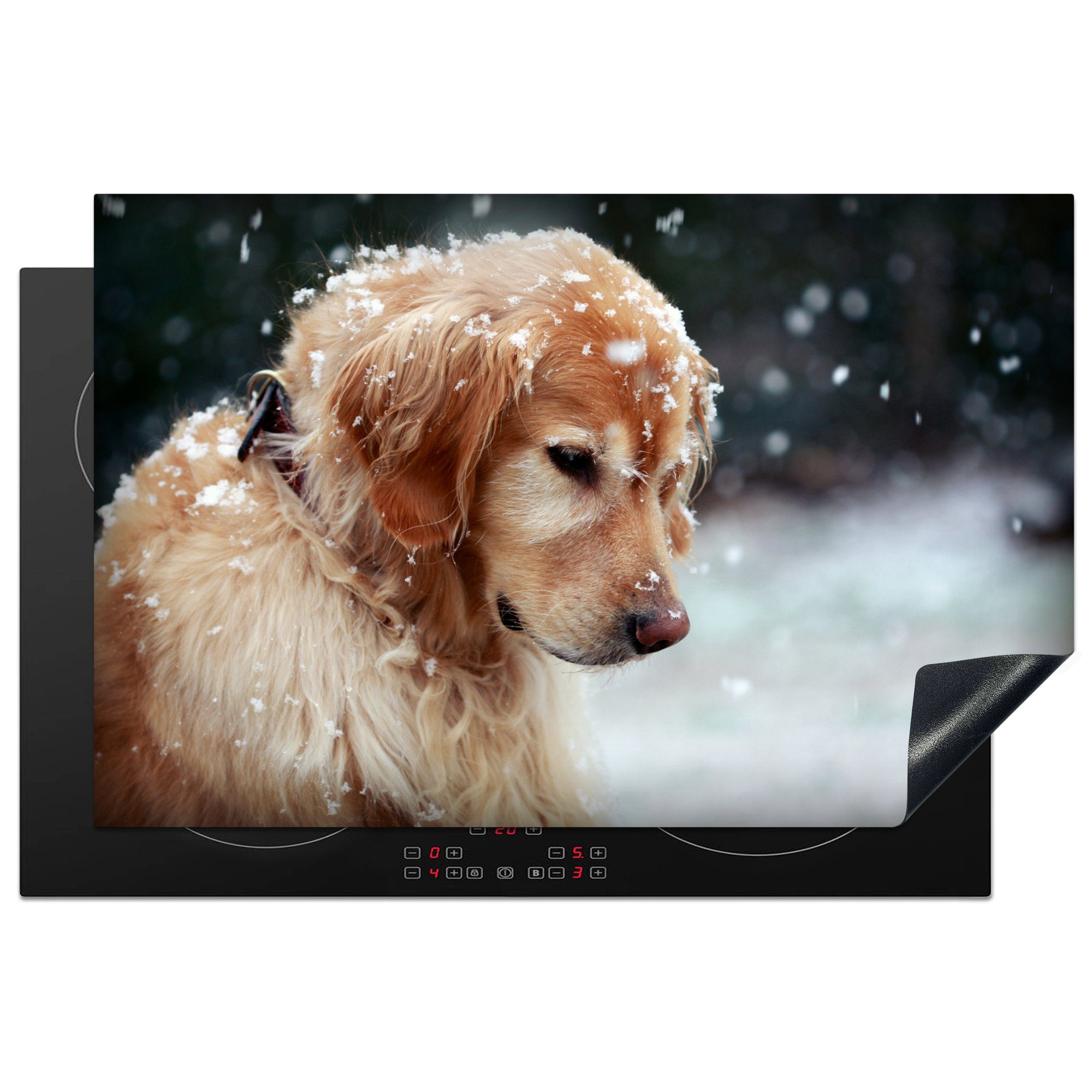 MuchoWow Herdblende-/Abdeckplatte Nahaufnahme eines Golden Retriever Hundes in den Schneeflocken, Vinyl, (1 tlg), 81x52 cm, Induktionskochfeld Schutz für die küche, Ceranfeldabdeckung