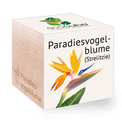 Feel Green Blumenerde »Ecocube Paradiesvogelblume von Feel Green, Nachhaltige Geschenkidee (100% Eco Friendly), Grow Your Own/Anzuchtset, Pflanzen Im Holzwürfel«, (1-St)