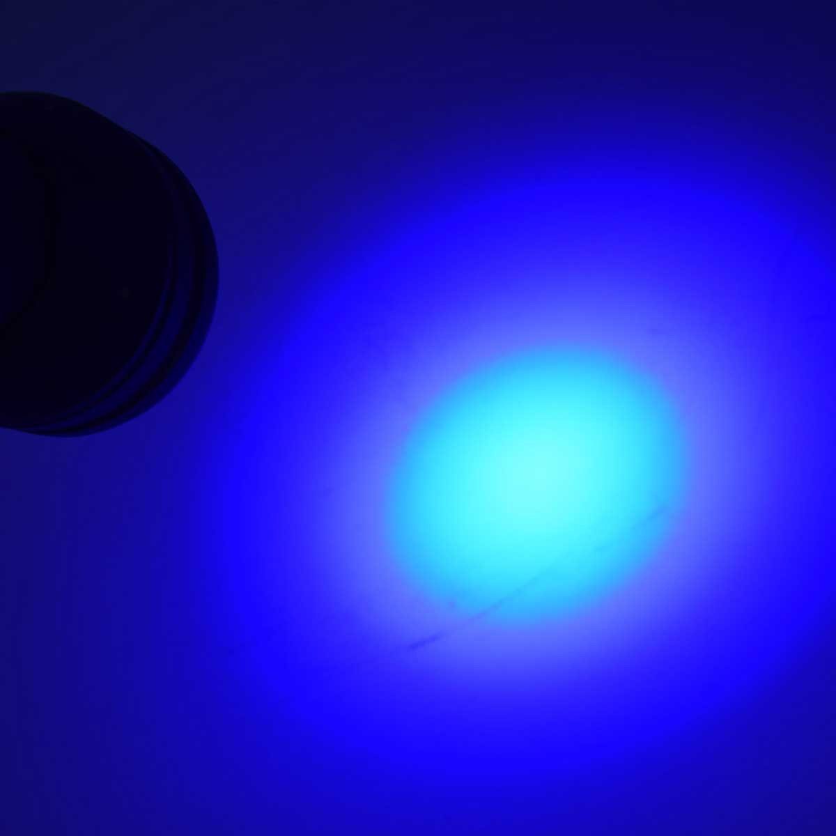 ChiliTec LED Taschenlampe Schwarzlicht LED Taschenlampe mit 51 UV LEDs