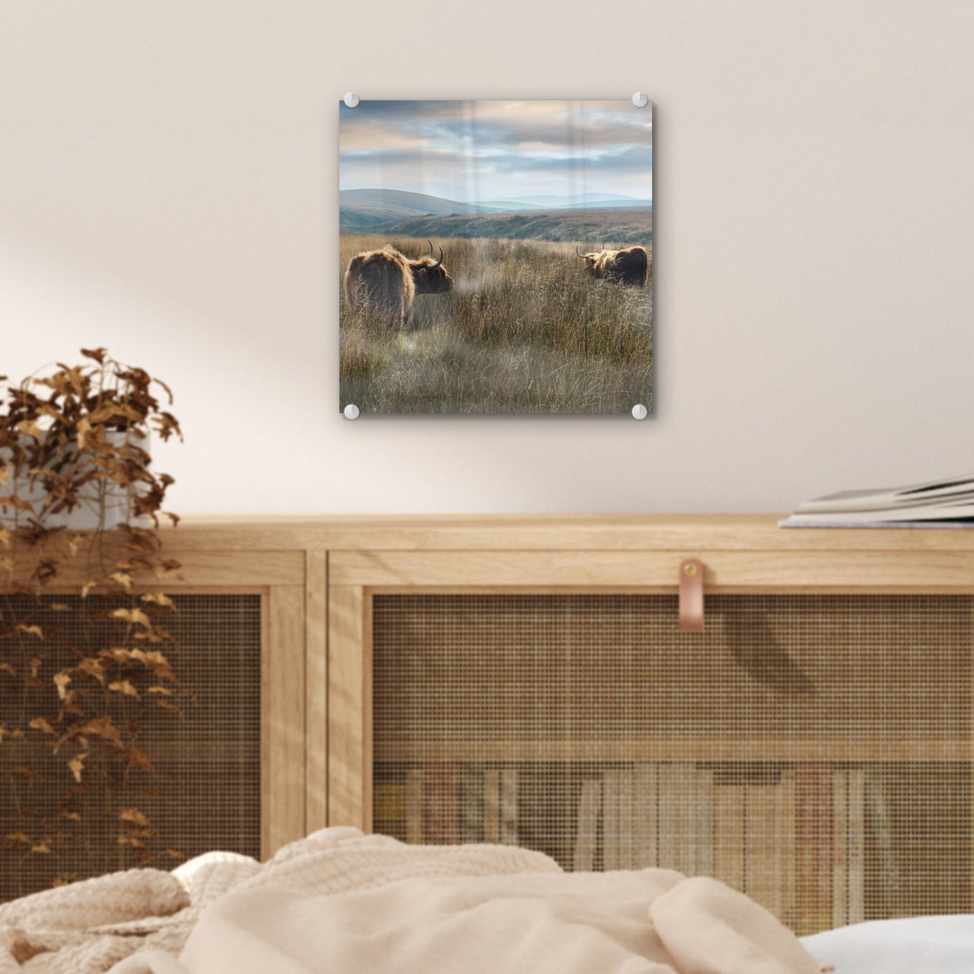 (1 - Glasbilder Wanddekoration Wandbild Gras, - Schottische - Glas - Foto MuchoWow Acrylglasbild Glas Nebel - Bilder St), auf Highlander auf