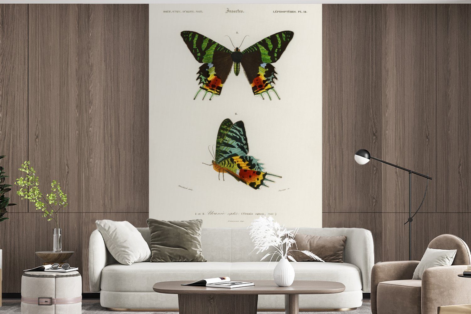 MuchoWow Fototapete Schmetterling - Vintage Tapete Wallpaper Matt, Kinderzimmer, - Schlafzimmer, Vinyl für Insekten, (3 St), bedruckt, Wohnzimmer