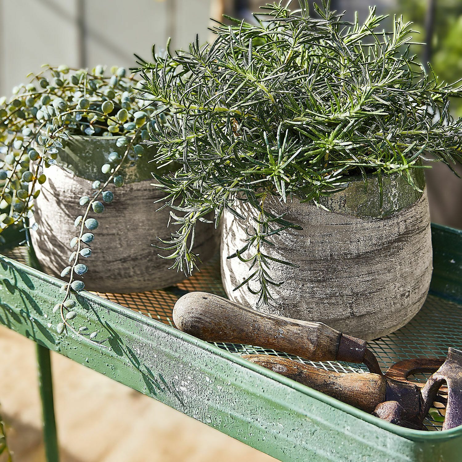 Mirabeau Übertopf Pflanztopf 2er Set Malivon antikgrün/grau günstig online kaufen