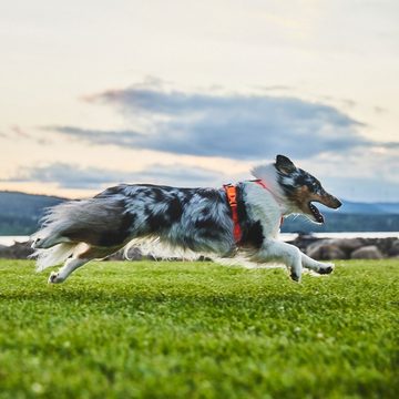 Non-stop dogwear Hunde-Geschirr LINE HARNESS 5.0, Ein ergonomisches und vielseitiges Kurzgeschirr