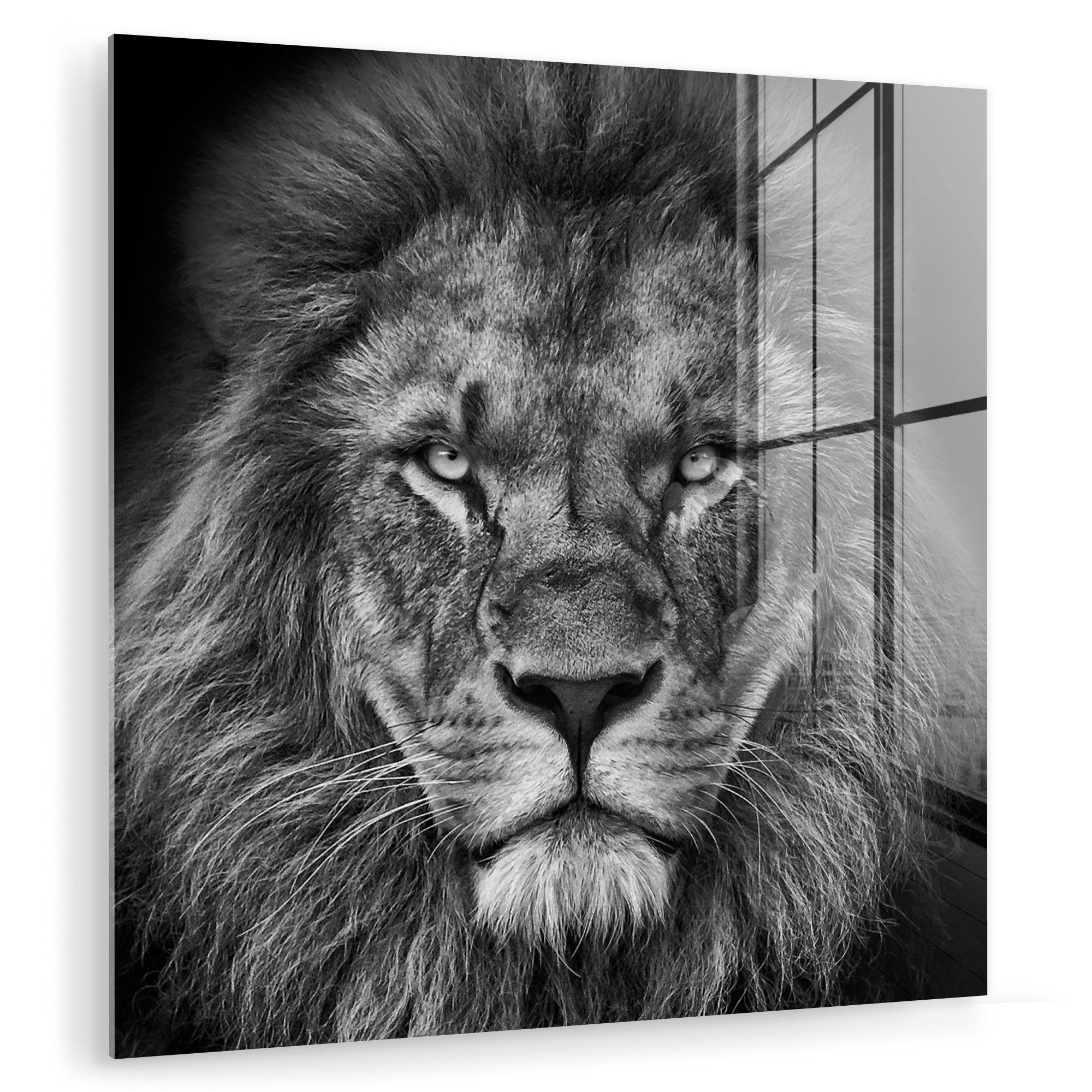 MuchoWow Acrylglasbild Tiere - Löwe - Schwarz - Weiß - Porträt, Inkl. Aufhängung, Bilder auf Glas Wandbild, Wanddeko Wohnzimmer Badezimmer, 20x20 cm