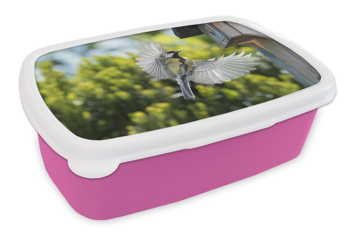 Kohlmeise MuchoWow für Brotbox in Erwachsene, ein fliegt Kunststoff Kinder, (2-tlg), Mädchen, Eine Lunchbox rosa Snackbox, Kunststoff, Brotdose Vogelhaus,