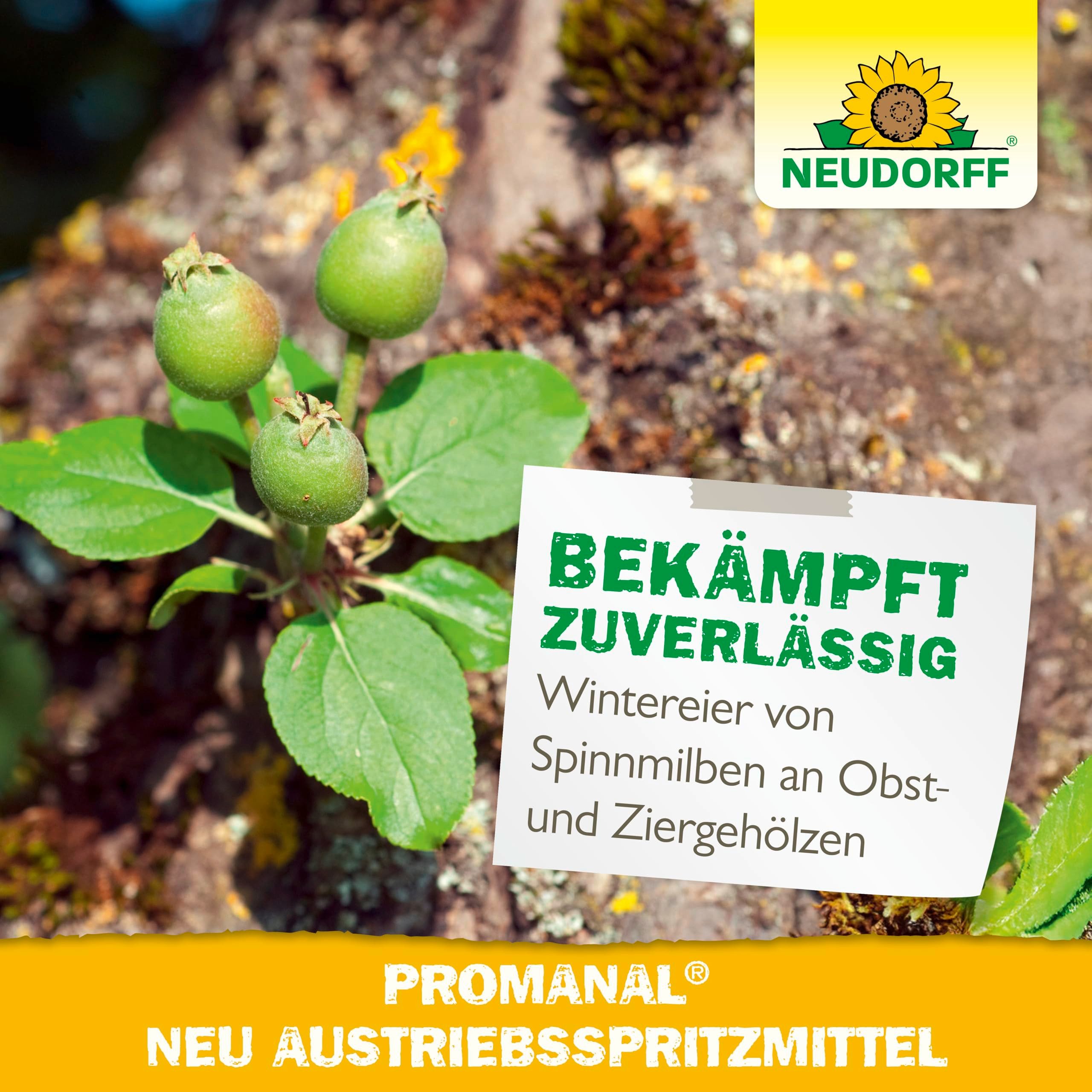 Neudorff Insektenspray Promanal Neu Austriebsspritzmittel 500 ml, 0.5 l