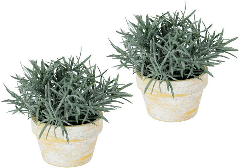 Kunstpflanze Künstlicher Podocarpus im Topf 2er Set, I.GE.A., Höhe 15 cm, Deko Blume für Hochzeit Plastikpflanze Kräuter Deko-Kräuter