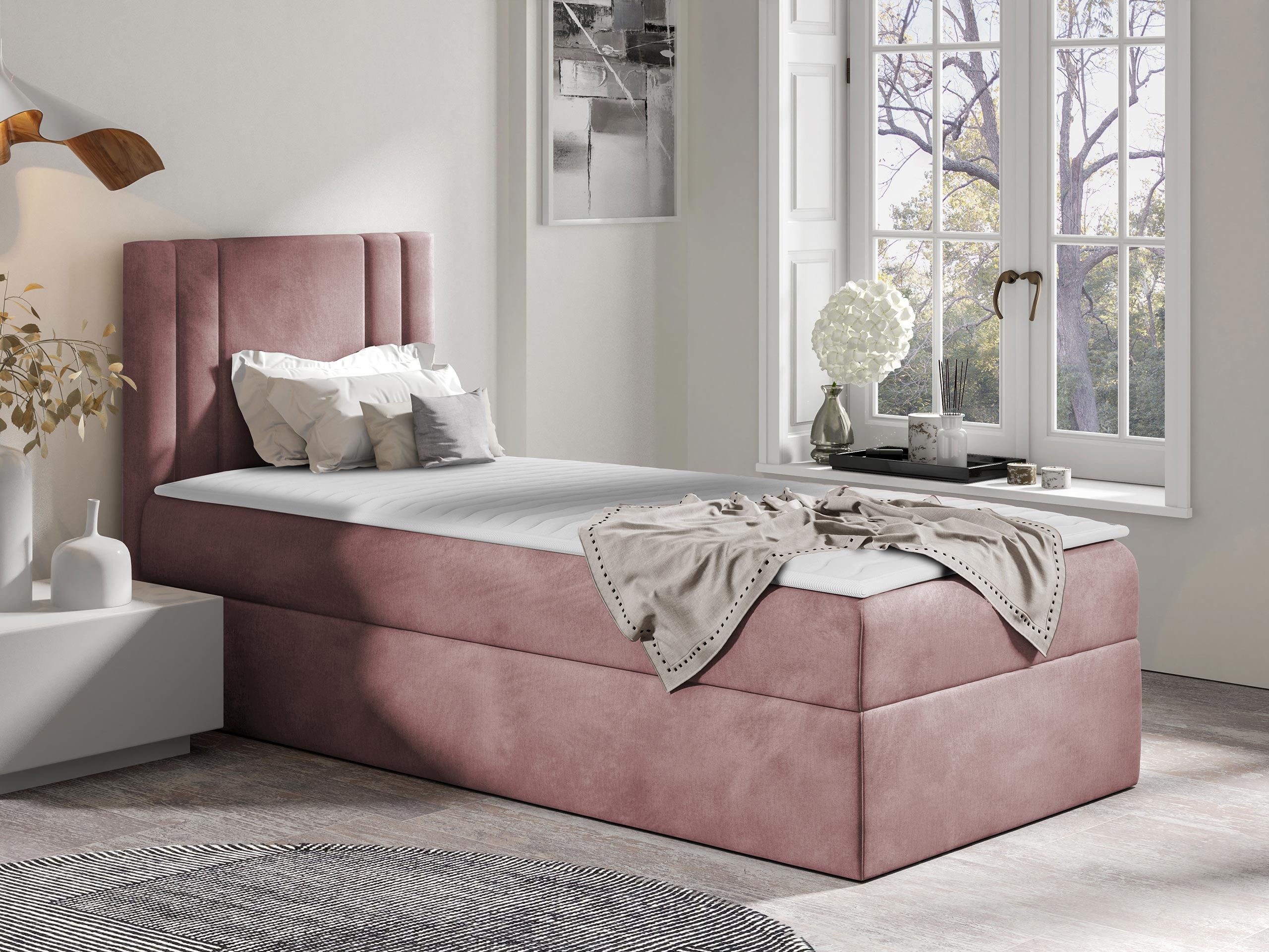 MIRJAN24 Boxspringbett Carmen Mini (mit Hauptmatratze, günstig online kaufen