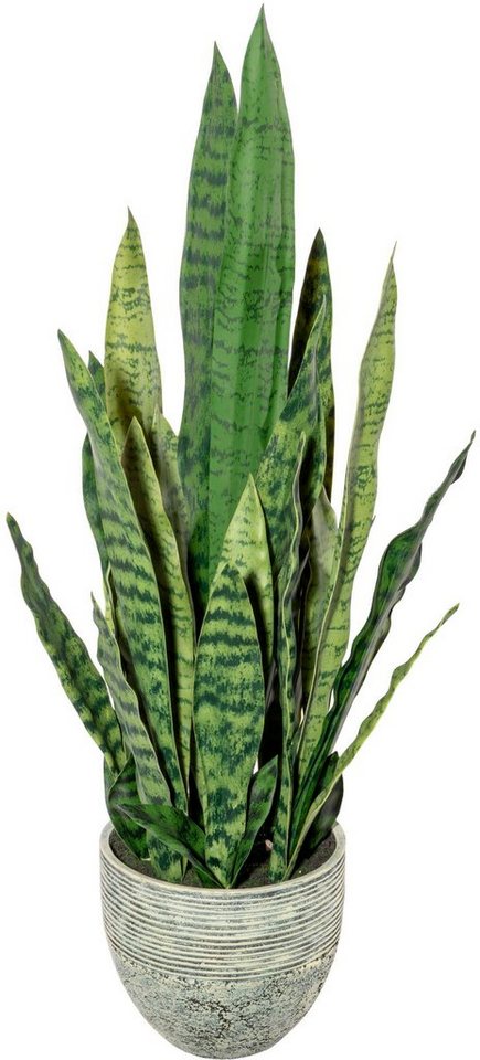 Künstliche Zimmerpflanze Sanseveria Sukkulente, Creativ green, Höhe 70 cm