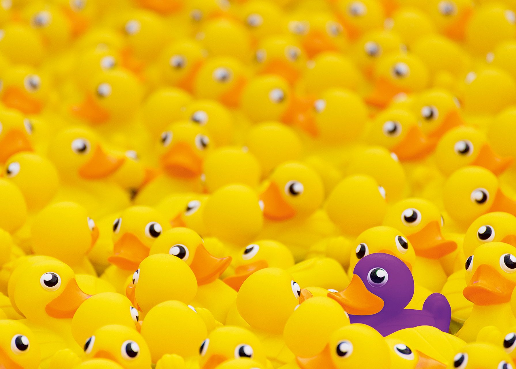 Ravensburger Puzzle Challenge, Quietscheenten, 1000 Puzzleteile, günstig online kaufen