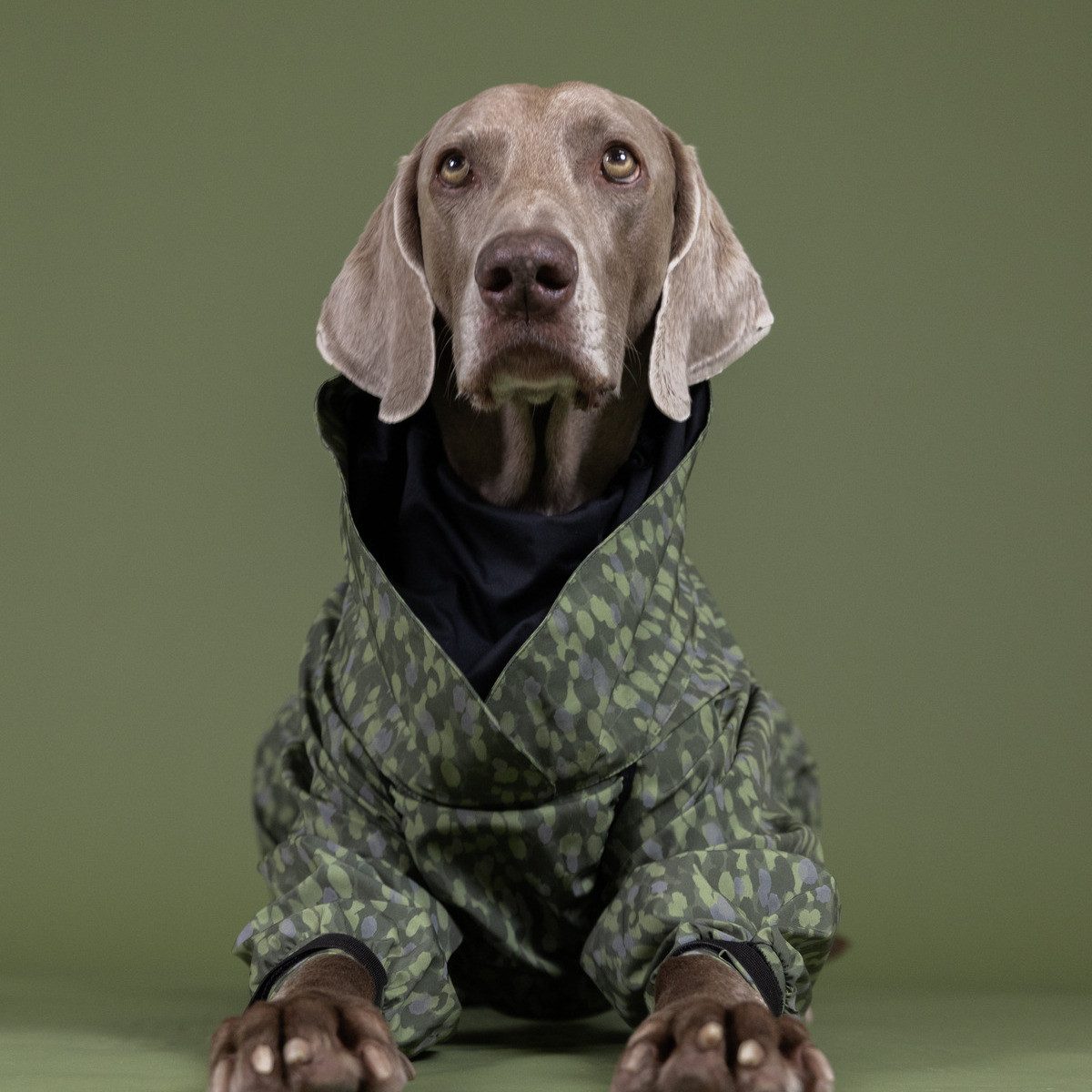 PAIKKA Hundeoverall Hunde Regen Overall "Rain Suit" green