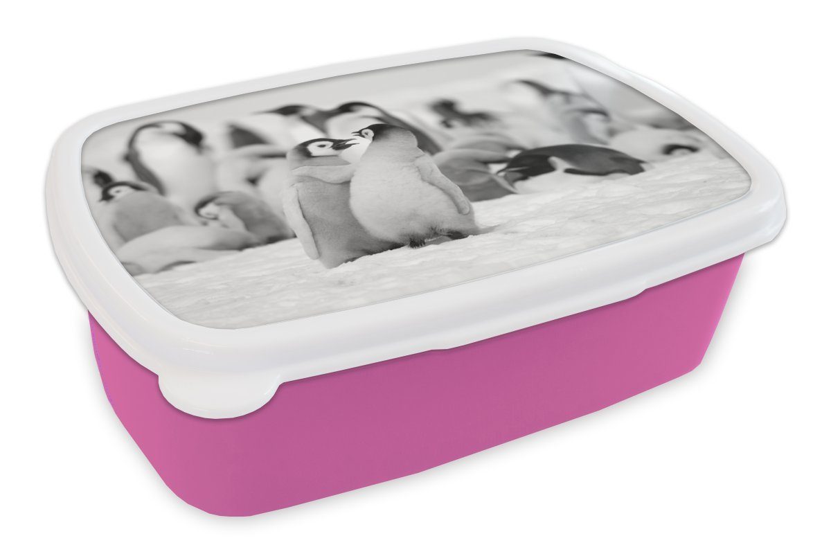 MuchoWow Lunchbox Pinquins im Schnee - schwarz und weiß, Kunststoff, (2-tlg), Brotbox für Erwachsene, Brotdose Kinder, Snackbox, Mädchen, Kunststoff rosa