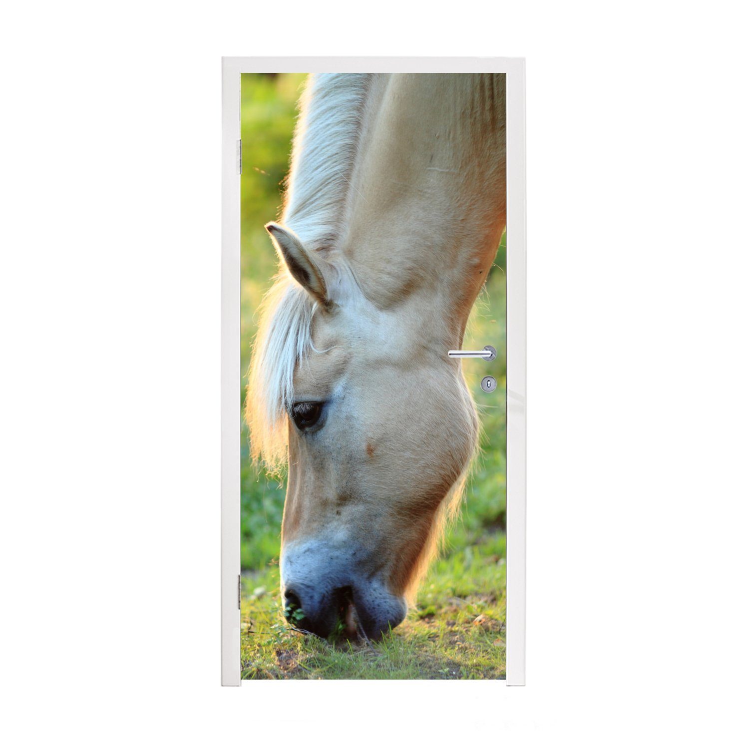 MuchoWow Türtapete Weidendes Fjordpferd an einem Sommertag, Matt, bedruckt, (1 St), Fototapete für Tür, Türaufkleber, 75x205 cm