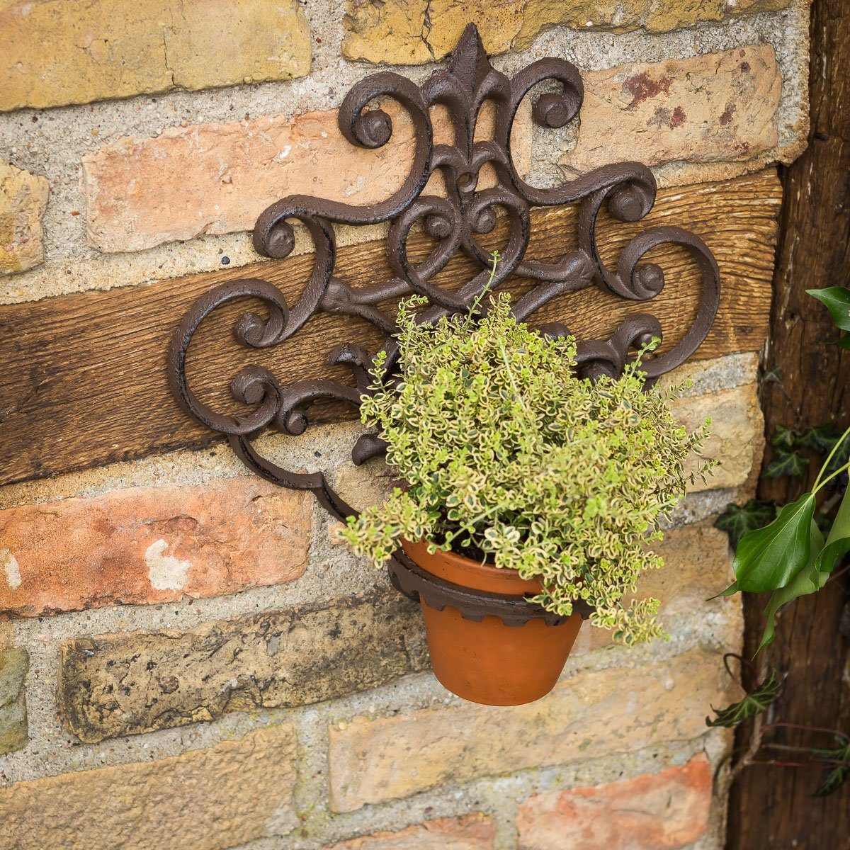 Antikas Gartenpflege-Set Blumentopfhalter wie antik, Blumenwandhalter aus Gusseisen, Topfhänger