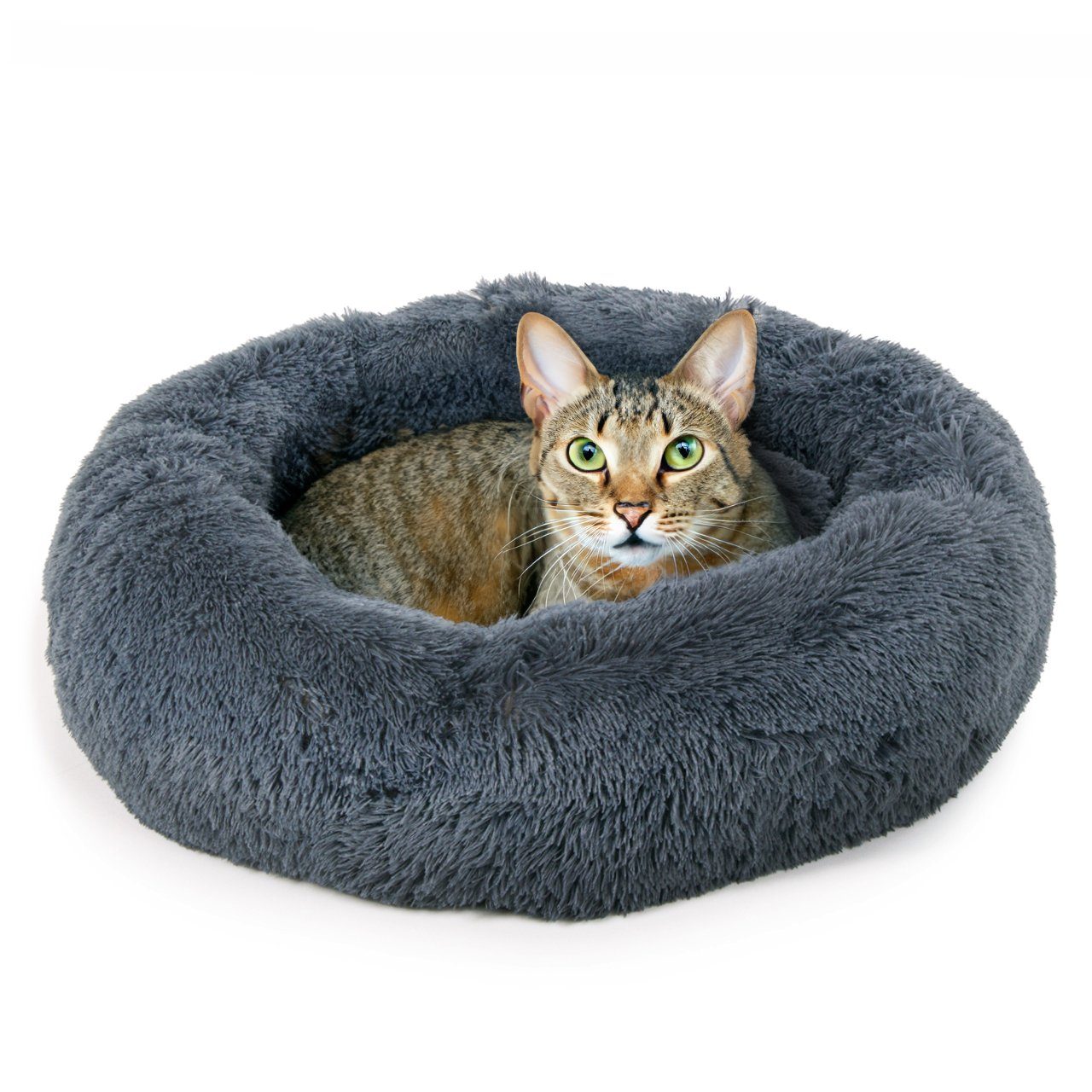 Canadian Cat Company Tierbett Katzenbett Ceddie, günstig online kaufen