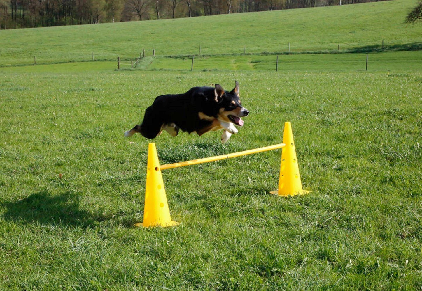 Kerbl Hunde-Erziehungsgeschirr Kerbl 81994