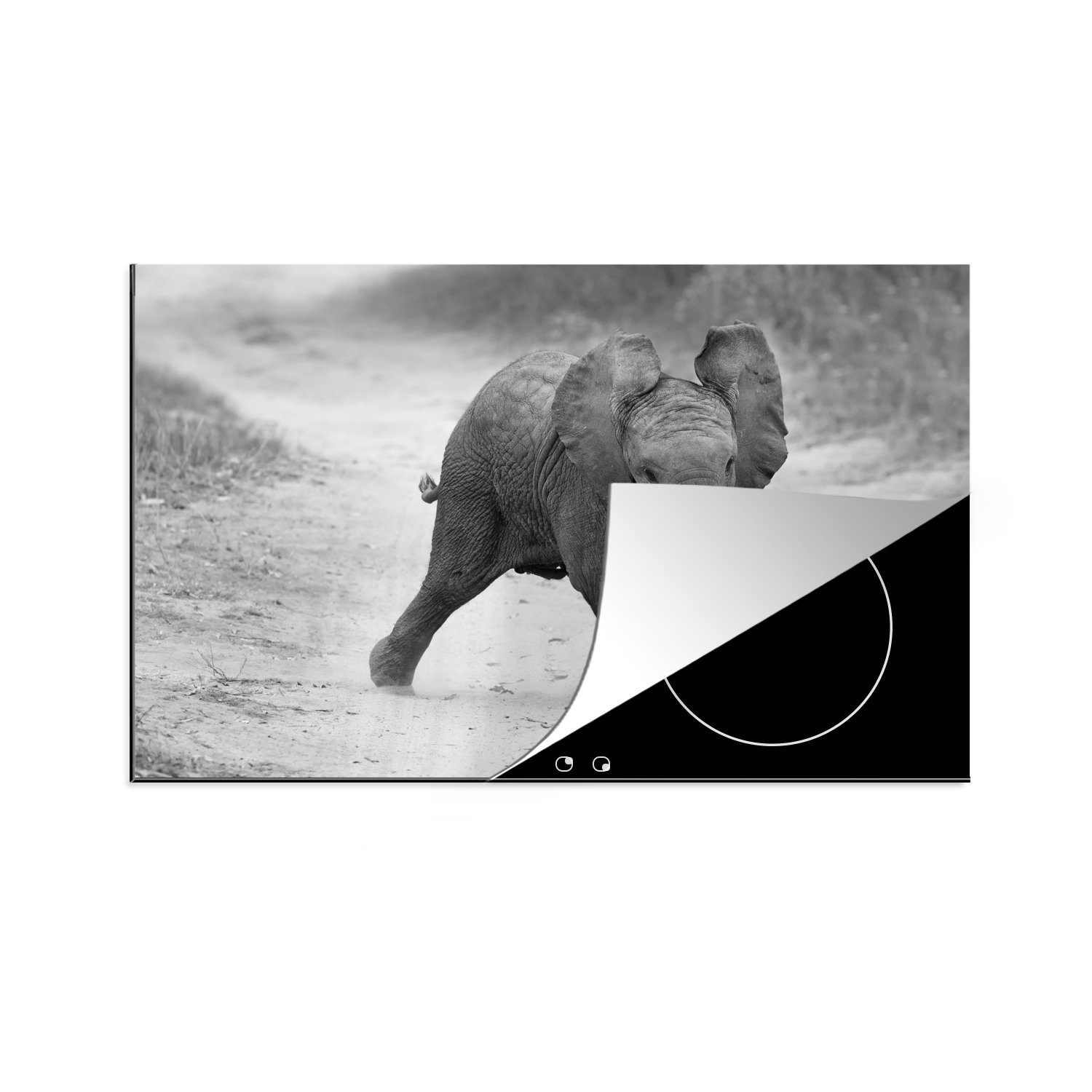 für 81x52 Herdblende-/Abdeckplatte Induktionskochfeld Elefant cm, (1 - Vinyl, - Baby Kröte - küche, weiß, Schwarz - tlg), MuchoWow Schutz Ceranfeldabdeckung Tiere die und