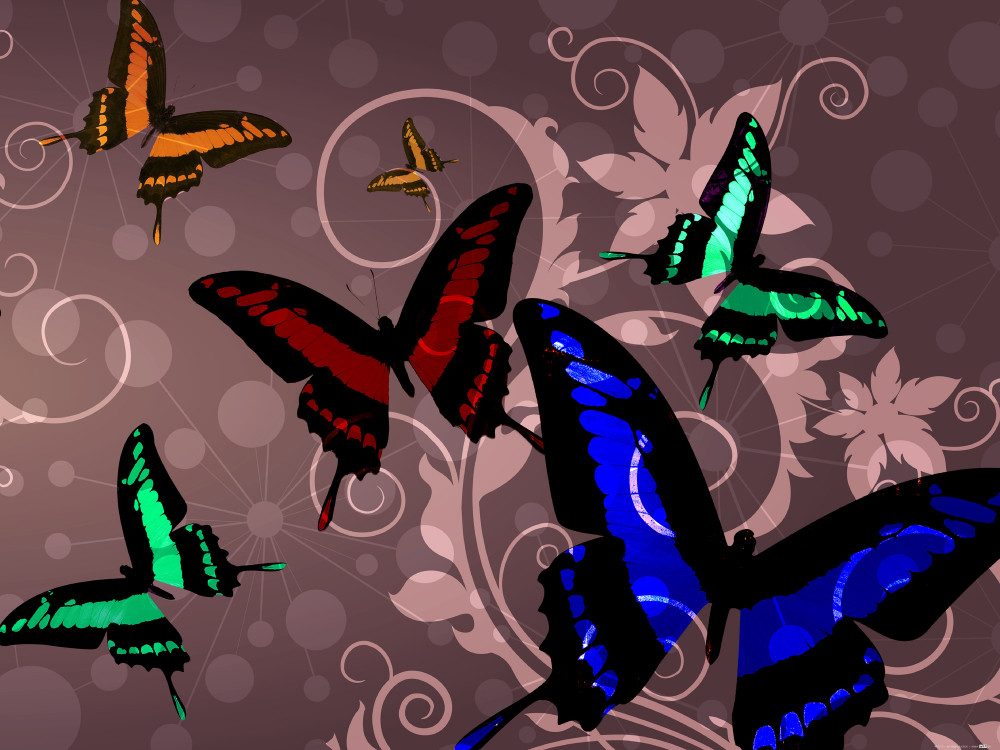 1art1 Poster Schmetterlinge Kunstdruck Bild - Schmetterlinge Und